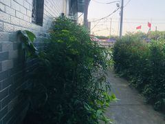 -水岸居湖景农家乐·阳澄湖大闸蟹