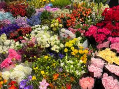 -双季花艺园艺市场(浦东店)