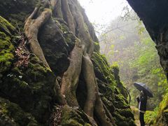 -山王坪喀斯特国家生态公园