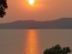 -上海市保健医疗中心