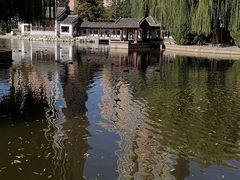 -团结湖公园