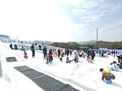 -盈香心动乐园