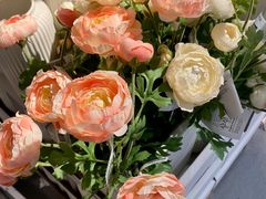 -宜家家居(高新商场店)