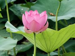 -龙口南山旅游景区