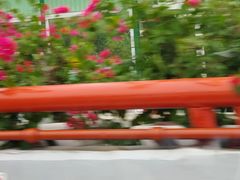 -苏州河梦清园环保主题公园