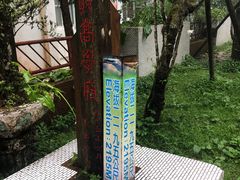 -阿里山神木遗迹