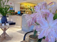 -HUATA 'Holiday Plan 花榻