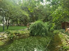 -成都市活水公园