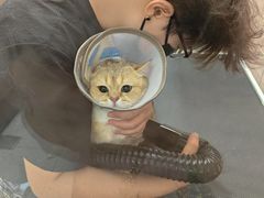 -FAELING PETS美天灵宠物(富力广场店)