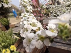 -中国天府农业博览园