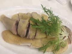 -金河半岛园林酒家(金融城店)