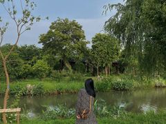 -鹅湖玫瑰文化园