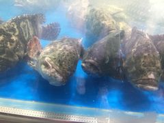 -盒马鲜生(杭州运河上街店)