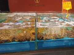 -阿伟海鲜楼·福建菜(延寿店)