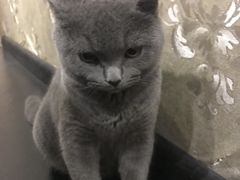 -吱咖啡西式简餐