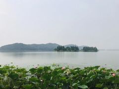 -东湖落雁景区
