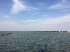 -上海美帆帆船露营基地