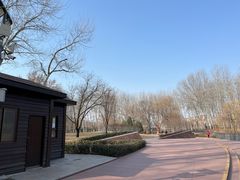 -仁和公园(顺义区)