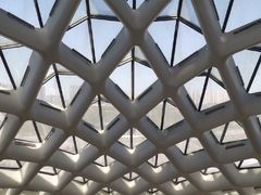 -哈尔滨大剧院