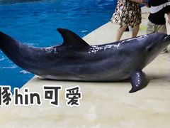 -台州海洋世界