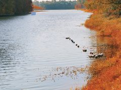 -上海海湾国家森林公园