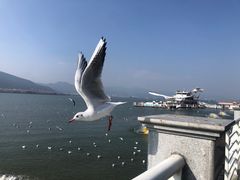 -海埂大坝