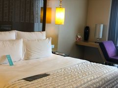 -青岛富力艾美酒店