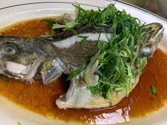 姜汁苏鲈-八仔大富楼·河鲜(西江店)