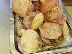 煮扇贝-腾格勒烤羊腿