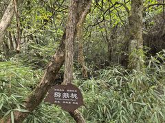 -山王坪喀斯特国家生态公园