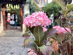 -丽江古城