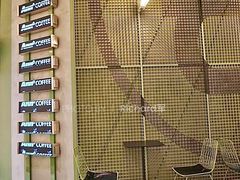 -Ann COFFEE(来福士店)