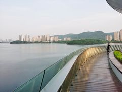 -梅溪湖城市岛