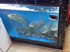 -川流不息·地道川菜·小龙虾(新松江路店)