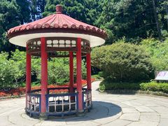 -庐山风景区花径公园