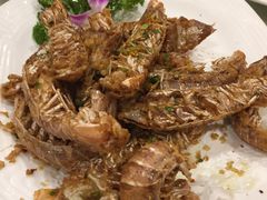 椒盐赖尿虾-四海之家(蛇口店)