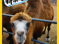 -无锡动物园·太湖欢乐园