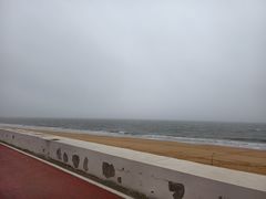 -日照海滨国家森林公园