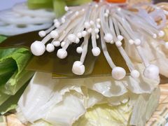 -鱼酷活鱼烤鱼(沈阳大悦城店)