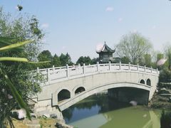 -八大山人梅湖景区