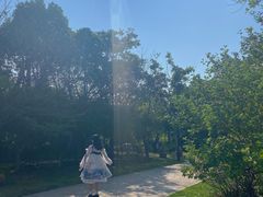 -杭州湾海上花田景区