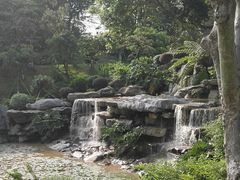 -东莞植物园