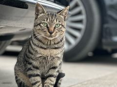 -三江森林温泉度假区