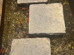 -邈墨茶馆(凤起路店)