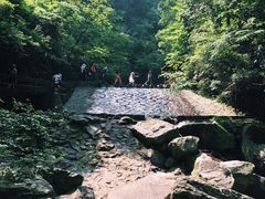 -湖州龙王山景区