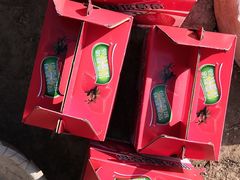 -小鱼草莓采摘园农家乐·小鱼餐厅