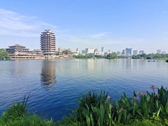 -眉山湿地公园(东坡区)