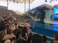 -三亚海昌梦幻海洋不夜城