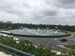 -迪士尼乐园停车场