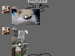 -伟伟宠物医院·CT影像中心·瑞派犬猫综合性门诊(汉口总院)